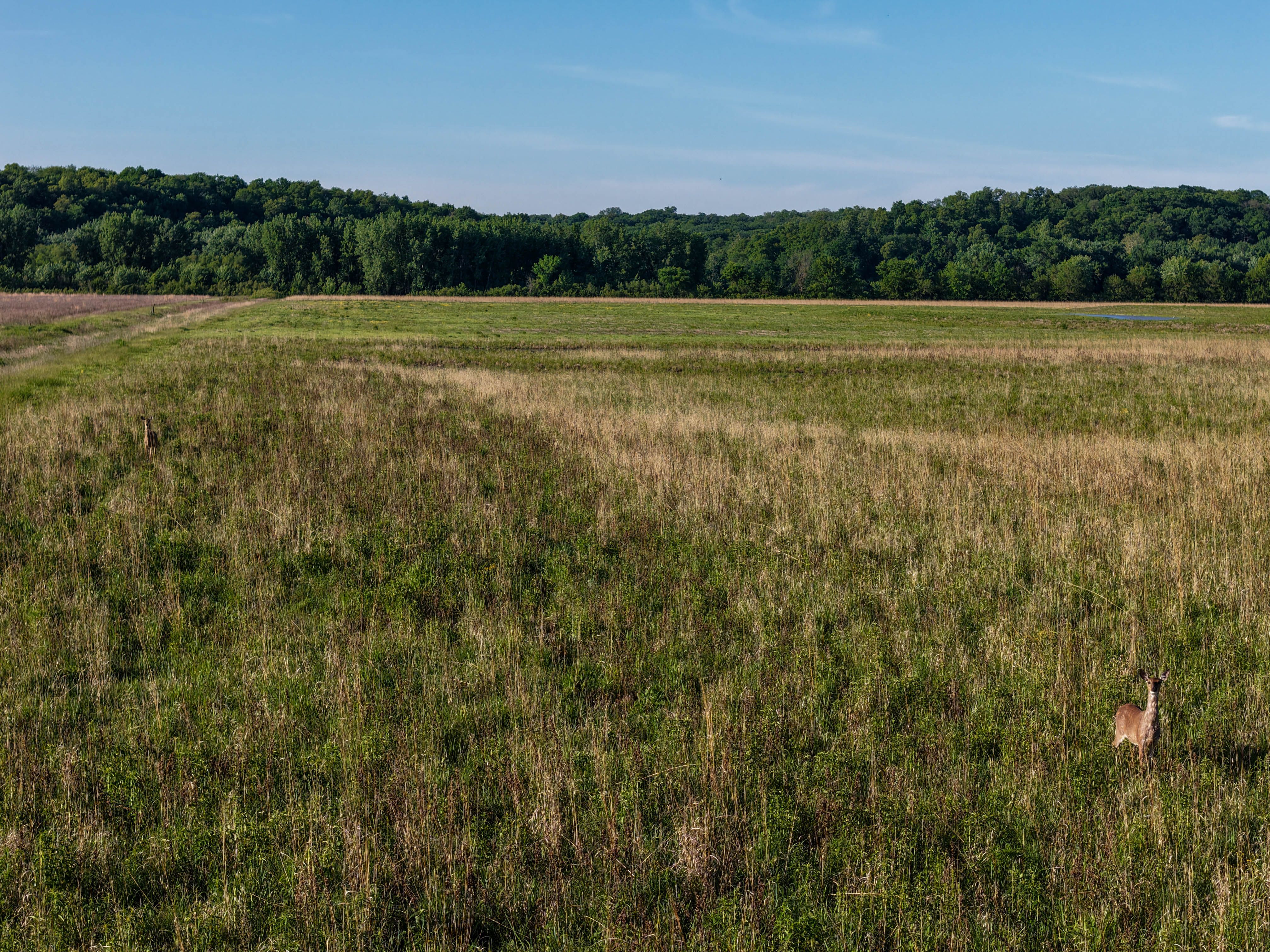 Listing Photo: Washington County Iowa Combination Farm For Sale-30